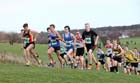 The start of the under-20 mens North Eastern Cross Country, Champs., Temple Park, South Shields. Photo: David T. Hewitson/Sports for All Pics
